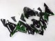 Acquista Carena Moto Kawasaki ZX10R 2004-2005 - Nero Verde Fiamma Ninja