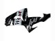 Acquista Carena Moto Kawasaki ZX10R 2006-2007 - Nero Lucido Bianco West