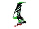 Acquista Carena Moto Kawasaki ZX10R 2008-2010 - Verde Bianco Rosso Nero Mostro Elf 66