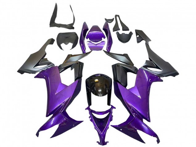 Acquista Carena Moto Kawasaki ZX10R 2008-2010 - Viola Nero