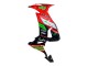 Acquista Carena Moto Kawasaki ZX10R 2008-2010 - Rosso Verde Nero