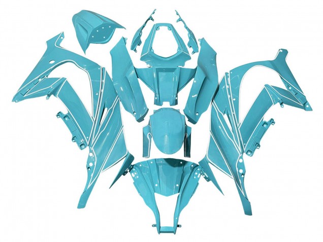 Acquista Carena Moto Kawasaki ZX10R 2008-2010 - Azzurro Chiaro Bianco Linea