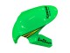 Acquista Carena Moto Kawasaki ZX10R 2011-2015 - Verde Giallo Nero Bianco Elf Mostro