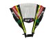 Acquista Carena Moto Kawasaki ZX10R 2011-2015 - Verde Giallo Nero Bianco Elf Mostro