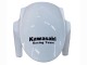 Acquista Carena Moto Kawasaki ZX10R 2011-2015 - Bianco Verde Banda Nero Ninja