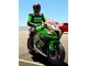 Acquista Carena Moto Kawasaki ZX10R 2011-2015 - Verde Giallo Bianco Nero Rosso Pirelli