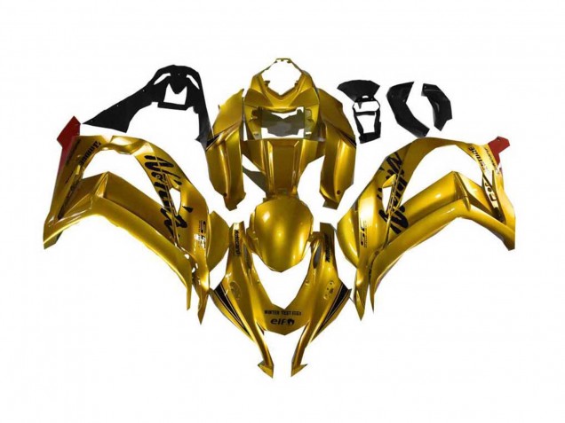Acquista Carena Moto Kawasaki ZX10R 2016-2020 - Oro Nero