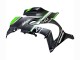 Acquista Carena Moto Kawasaki ZX10R 2016-2020 - Nero Opaco Verde Bianco Ninja