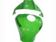 Acquista Carena Moto Kawasaki ZX10R 2021-2025 - Verde Nero Lucido