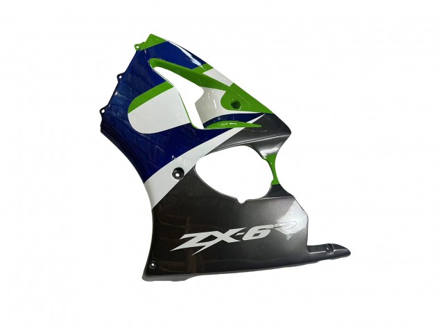 Acquista Carena Moto Kawasaki ZX6R 1998-1999 - Verde Bianco Blu Argento Nero Lucido