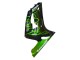 Acquista Carena Moto Kawasaki ZX6R 2003-2004 - Nero Lucido Verde Fiamma
