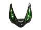 Acquista Carena Moto Kawasaki ZX6R 2005-2006 - Nero Lucido Verde Fiamma