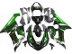 Acquista Carena Moto Kawasaki ZX6R 2005-2006 - Nero Lucido Verde Fiamma
