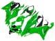 Acquista Carena Moto Kawasaki ZX6R 2019-2022 - Verde