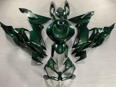 Acquista Carena Moto Kawasaki ZX6R 2019-2022 - Verde Scuro