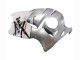 Acquista Carena Moto Suzuki GSXR 1300 Hayabusa 1996-2007 - Bianco Argento Hayabusa