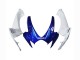 Acquista Carena Moto Suzuki GSXR 600 / GSXR 750 2006-2007 - Bianco Blu Nero Lucido Rosso