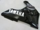 Acquista Carena Moto Yamaha YZF 1000 R1 2000-2001 - Nero Lucido Bianco Decal