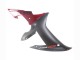 Acquista Kit Carena Moto Yamaha YZF 1000 R1 2002-2003 - Rosso Nero Opaco