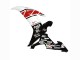 Acquista Carena Moto Yamaha YZF 1000 R1 2002-2003 - Bianco Rosso Nero Castrol