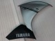 Acquista Carena Moto Yamaha YZF 1000 R1 2009-2011 - Argento Nero