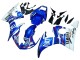 Acquista Carene Moto Yamaha YZF 600 R6 2005 - Blu Bianco Rosso Motul Michelin Fiat