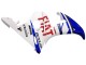 Acquista Carena Moto Yamaha YZF 600 R6 2005 - Bianco Blu Dunlop Fiat Motul