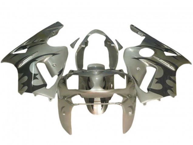 Acquista Carena Moto Kawasaki ZX12R 2002-2006 - Argento Nero