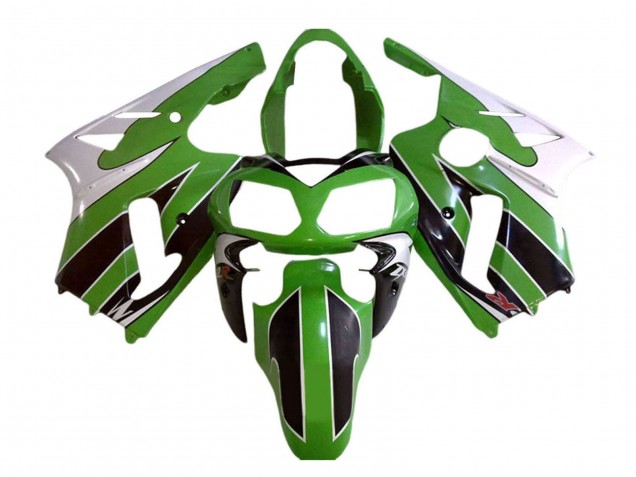 Acquista Carena Moto Kawasaki ZX12R 2002-2006 - Bianco Verde Nero