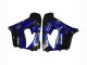 Acquista Carena Moto Kawasaki ZX9R 2000-2001 - Nero Lucido Blu Fiamma Bianco