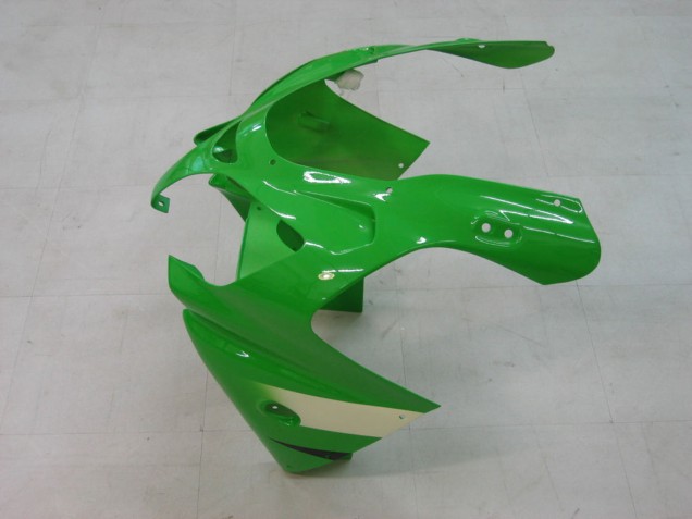 Acquista Carena Moto Kawasaki ZX9R 2000-2001 - Verde Argento Nero