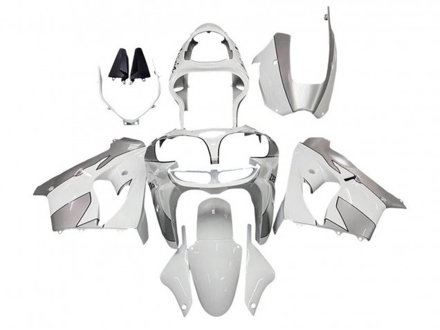Acquista Carena Moto Kawasaki ZX9R 2002-2003 - Bianco Argento