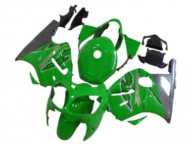 Acquista Carena Moto Kawasaki ZX12R 2002-2006 - Verde Argento