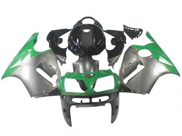 Acquista Carena Moto Kawasaki ZX12R 2002-2006 - Argento Verde Nero