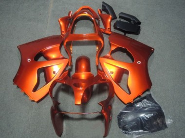 Acquista Carena Moto Kawasaki ZX6R 2000-2002 - Arancia