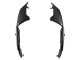 Acquista Carena Moto Aprilia RS660 2020-2024 - Fibra di Carbonio