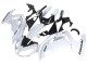 Acquista Carena Moto Kawasaki EX650 2012-2016 - Bianco Nero