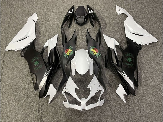 Mine Réjouie 19-23 ZX6R Carene Moto