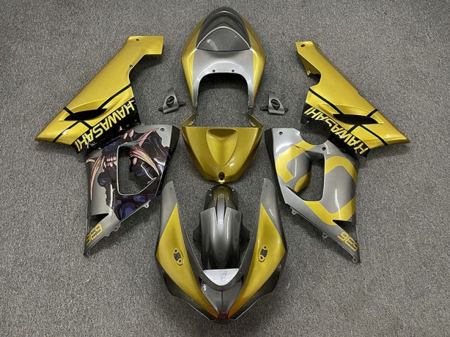 Oro & Argento 05-06 ZX6R Carene Moto