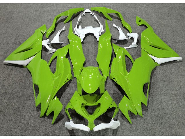 Verde Lucido & Bianco 19-23 ZX6R Carene Moto